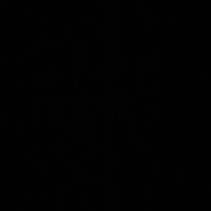 Meet your Posher, Camdyn